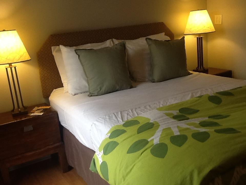 Zenyard Guest House Phoenix Pokój zdjęcie